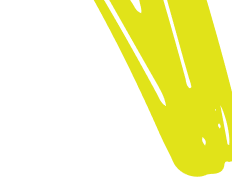 Vector