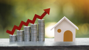 Real Estate Investment